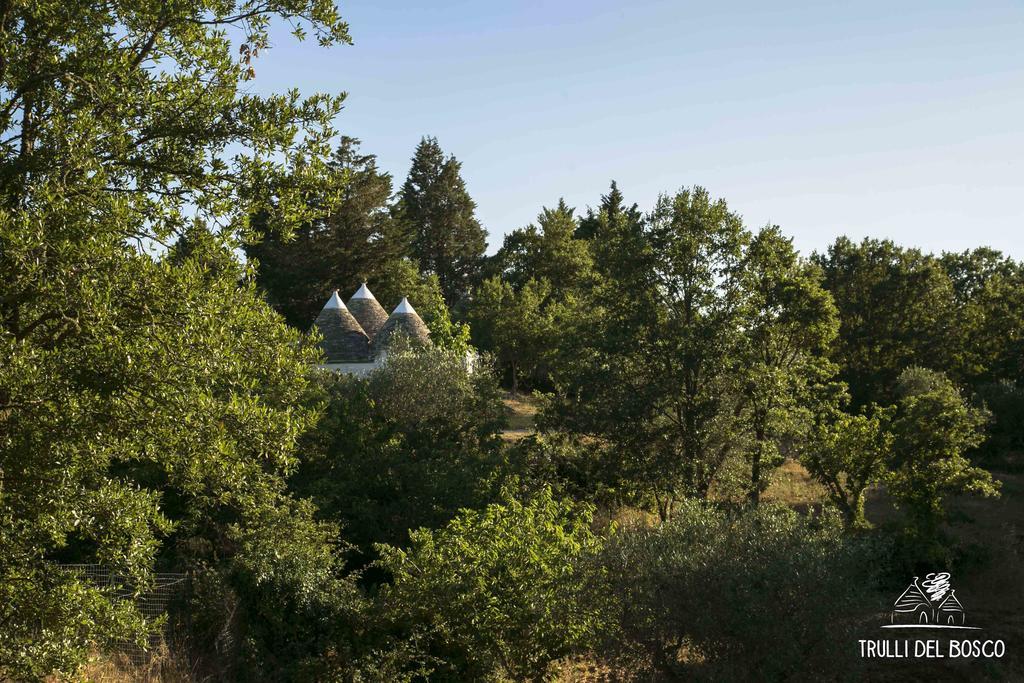 Trulli Del Bosco Bed & Breakfast Alberobello Exterior photo